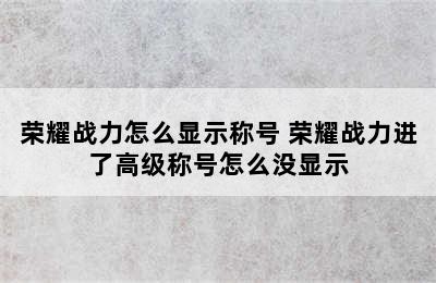 荣耀战力怎么显示称号 荣耀战力进了高级称号怎么没显示